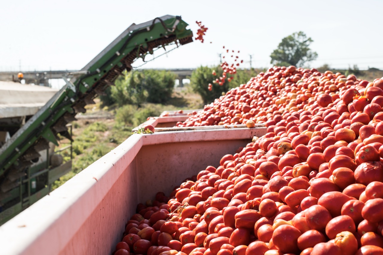 Agriculture & Bulk Materials